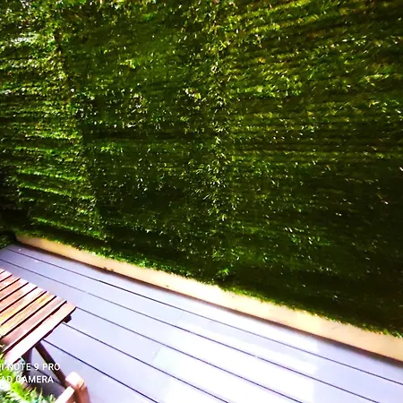 Amália Near Rossio Square Lisboa