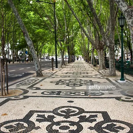 Amália Near Rossio Square Lisboa